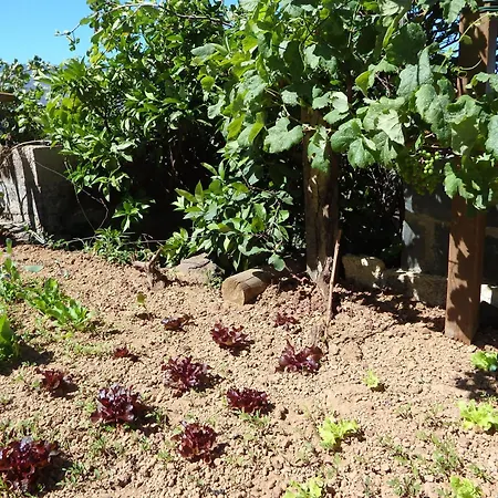 Finca Angeles